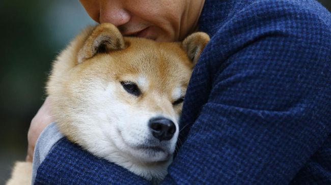 Maaf! Uang Kripto Shiba Inu Masih Ilegal di RI