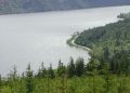 Makhluk Mirip Monster Loch Ness Hanyut di UK, Berani Lihat?