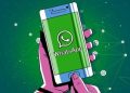Ekspresi Kasih Saat Valentine, Cobain 8 Fitur WhatsApp Ini