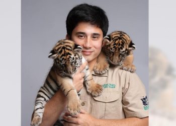Viral Alshad Ahmad Beberkan Penyebab Kematian Bayi Harimau