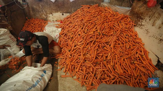 5 Jenis Sayuran yang Ampuh Mengurangi Lemak di Perut